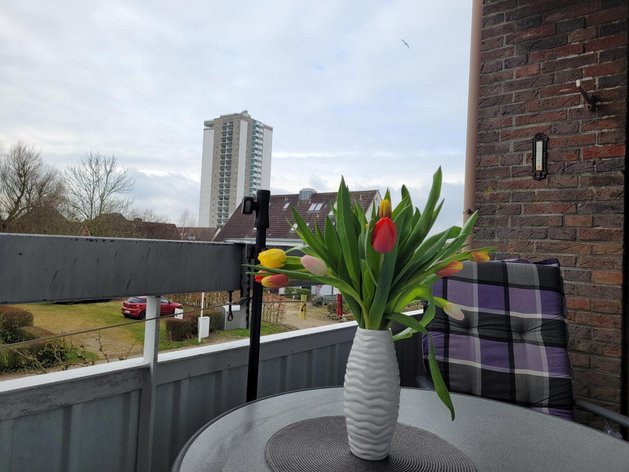 Apartment Lage, An Der Familienlagune Hundestrand